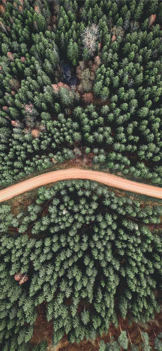 aerial view of green trees iPhone X wallpaper 