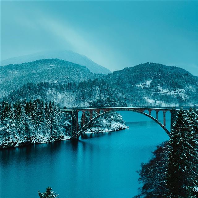 beautiful bridge between lake in forest 4k iPad wallpaper 