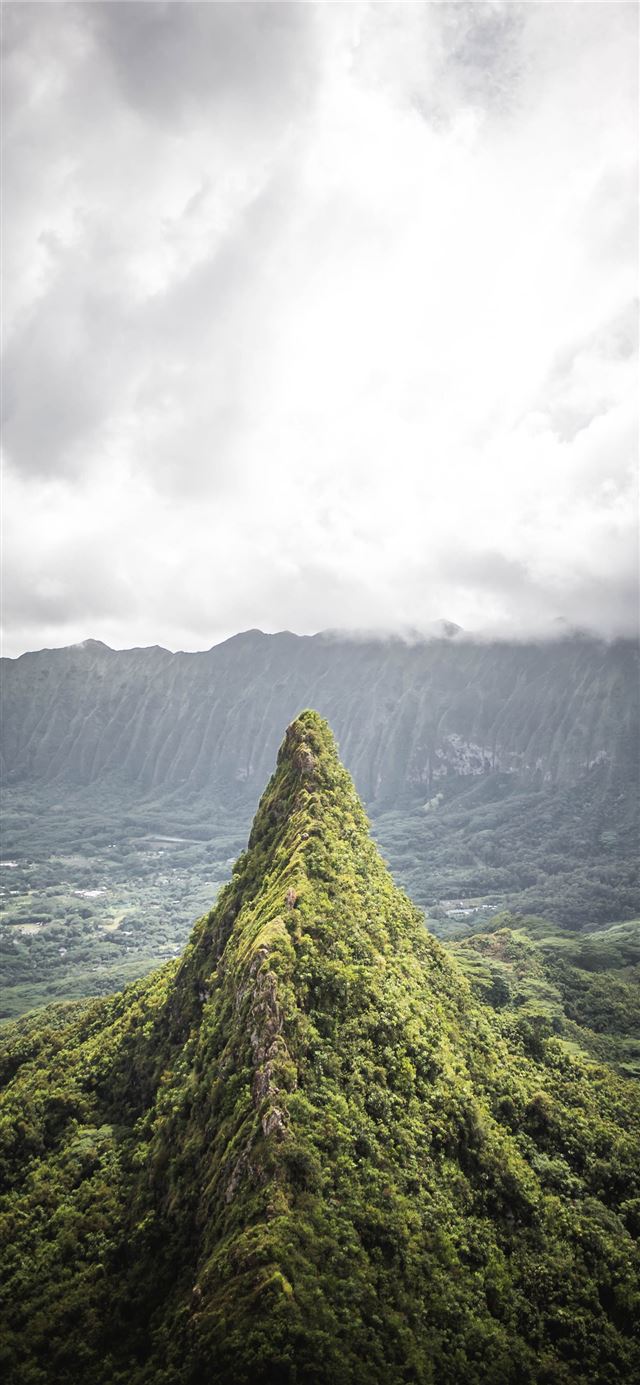 green leafed trees under white clouds during dayti... iPhone X wallpaper 