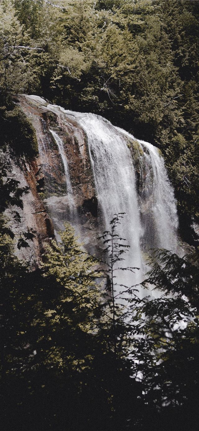waterfalls surrounded trees iPhone X wallpaper 