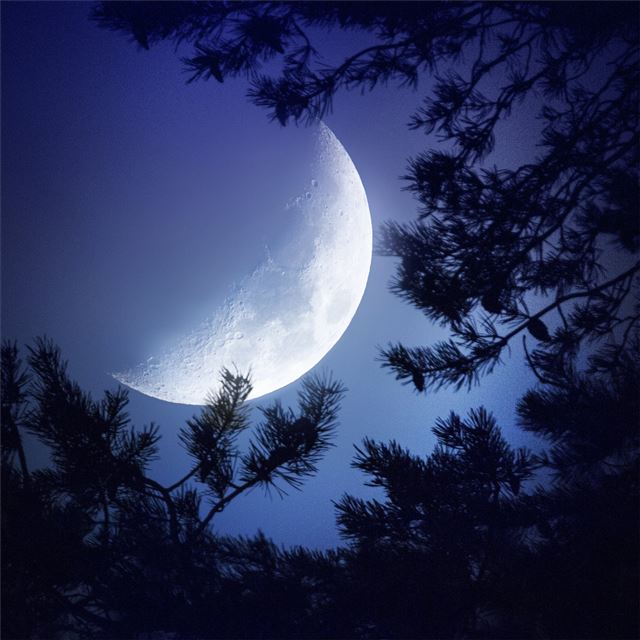 big moon dark night iPad Pro wallpaper 