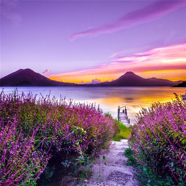 volcano sunset flower purple dreamy landscape 4k 5... iPad Air wallpaper 