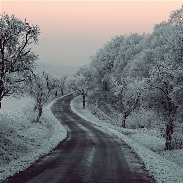 winter road snow frozen trees on sides 5k iPad Pro wallpaper 