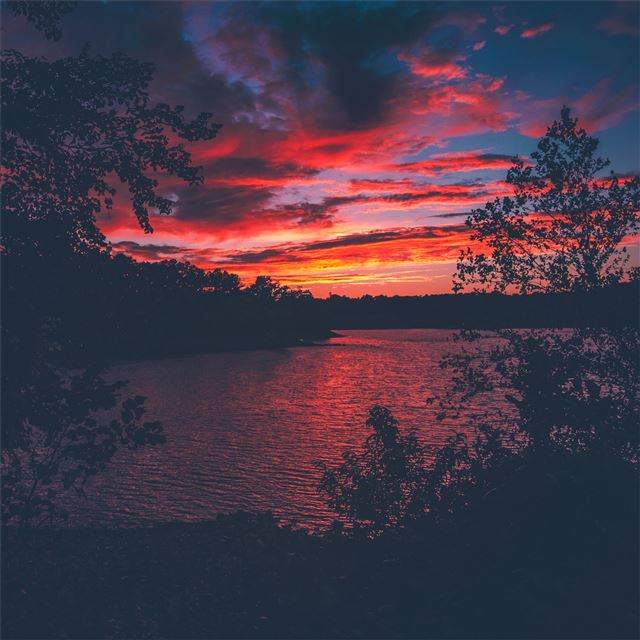 red evening sunset lake view from forest woods iPad Pro wallpaper 