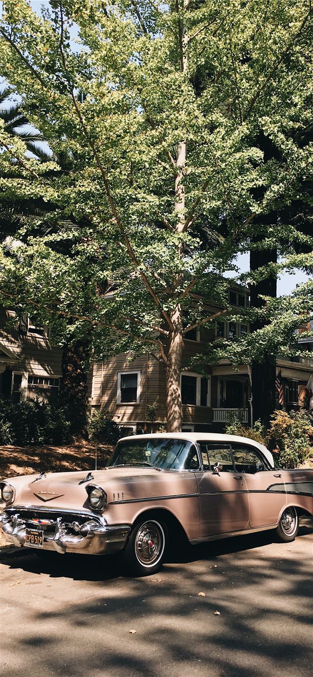 vintage pink sedan parked in front of tree iPhone 8 wallpaper 
