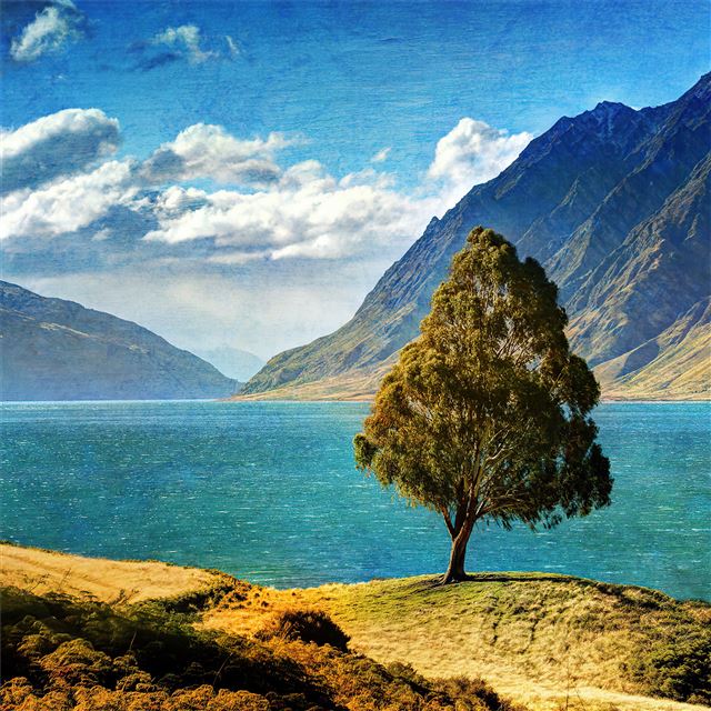 tree mountain glacial lake 4k iPad Air wallpaper 