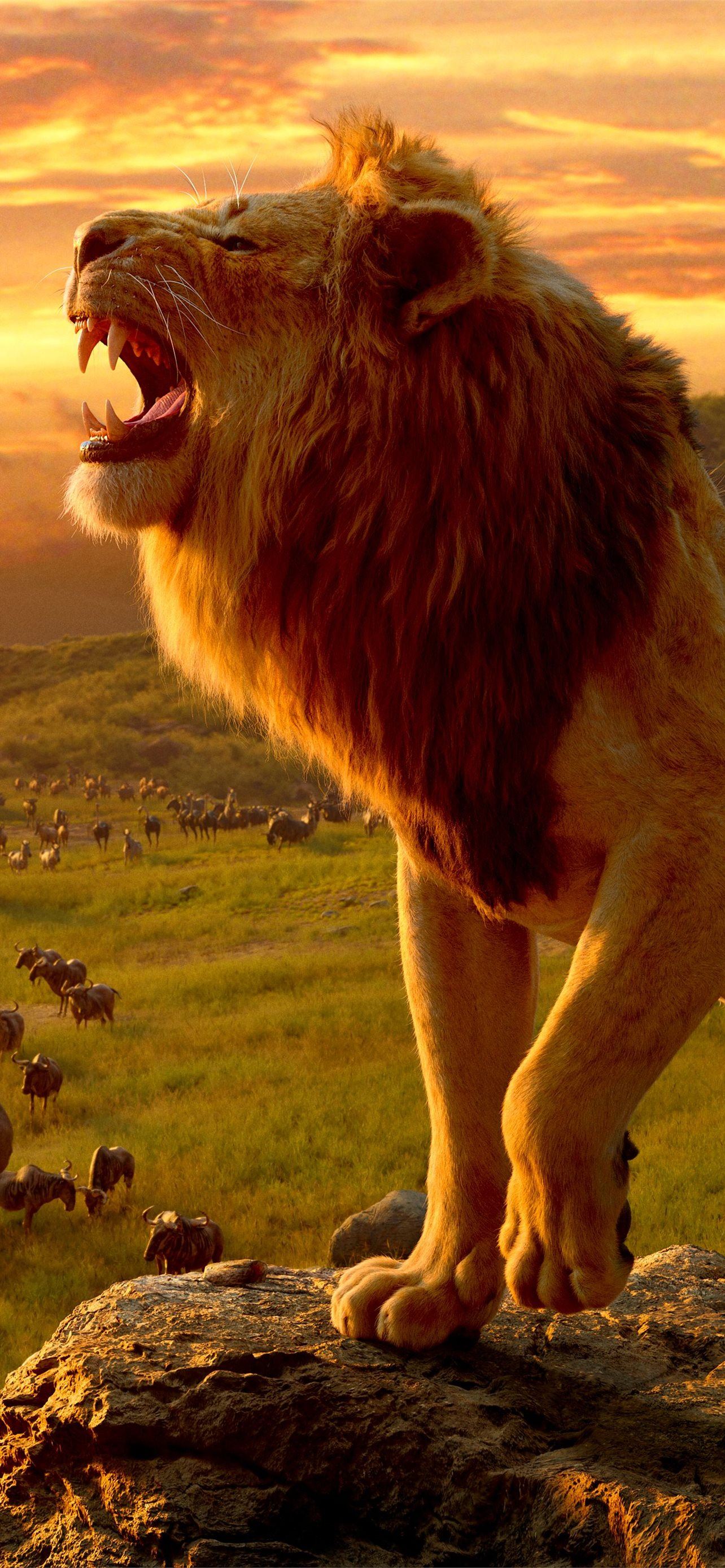 Lion Phone Top Free Lion Phone Backgrounds Access iPhone Wallpapers ...