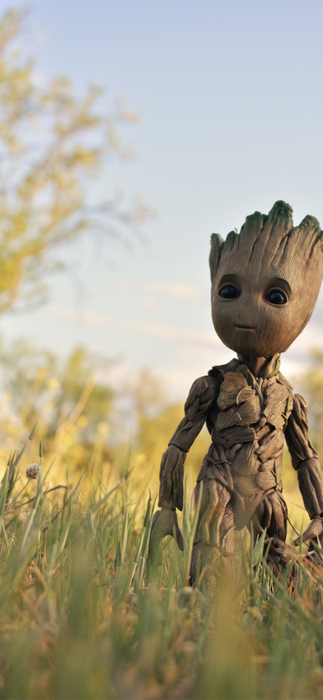 Marvel I Am Groot HD Wallpaper HD TV Series 4K Wallpapers Images Photos  and Background  Wallpapers Den
