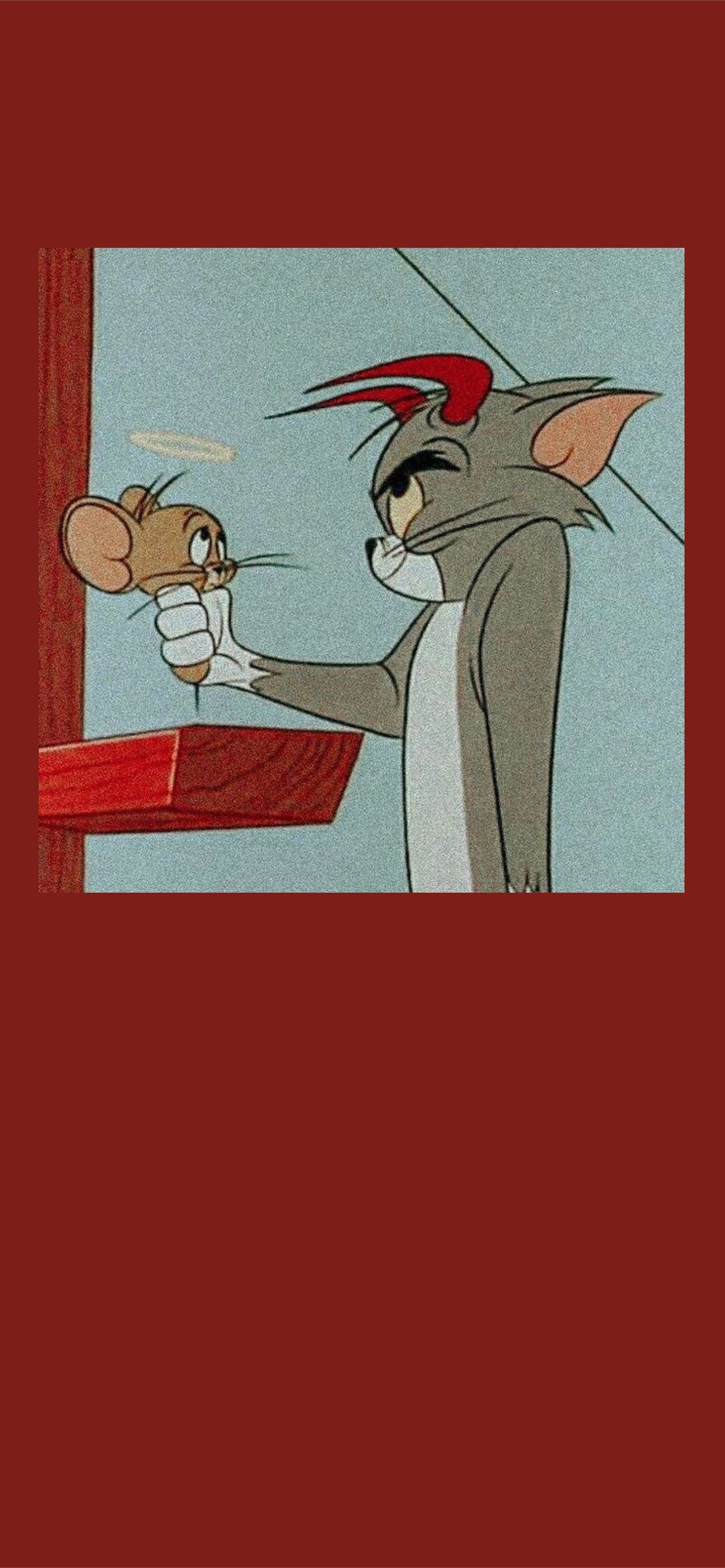 Tom Jerry in 2021 iPhone Wallpapers Free Download