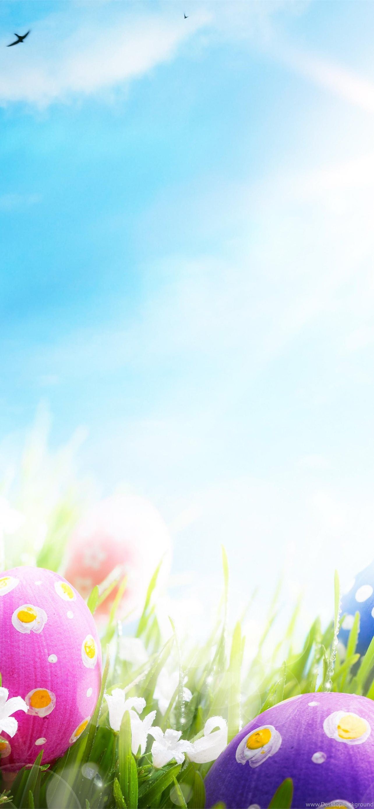 Easter bunny eggs happy happy Easter holiday rabbits religion  spring HD phone wallpaper  Peakpx