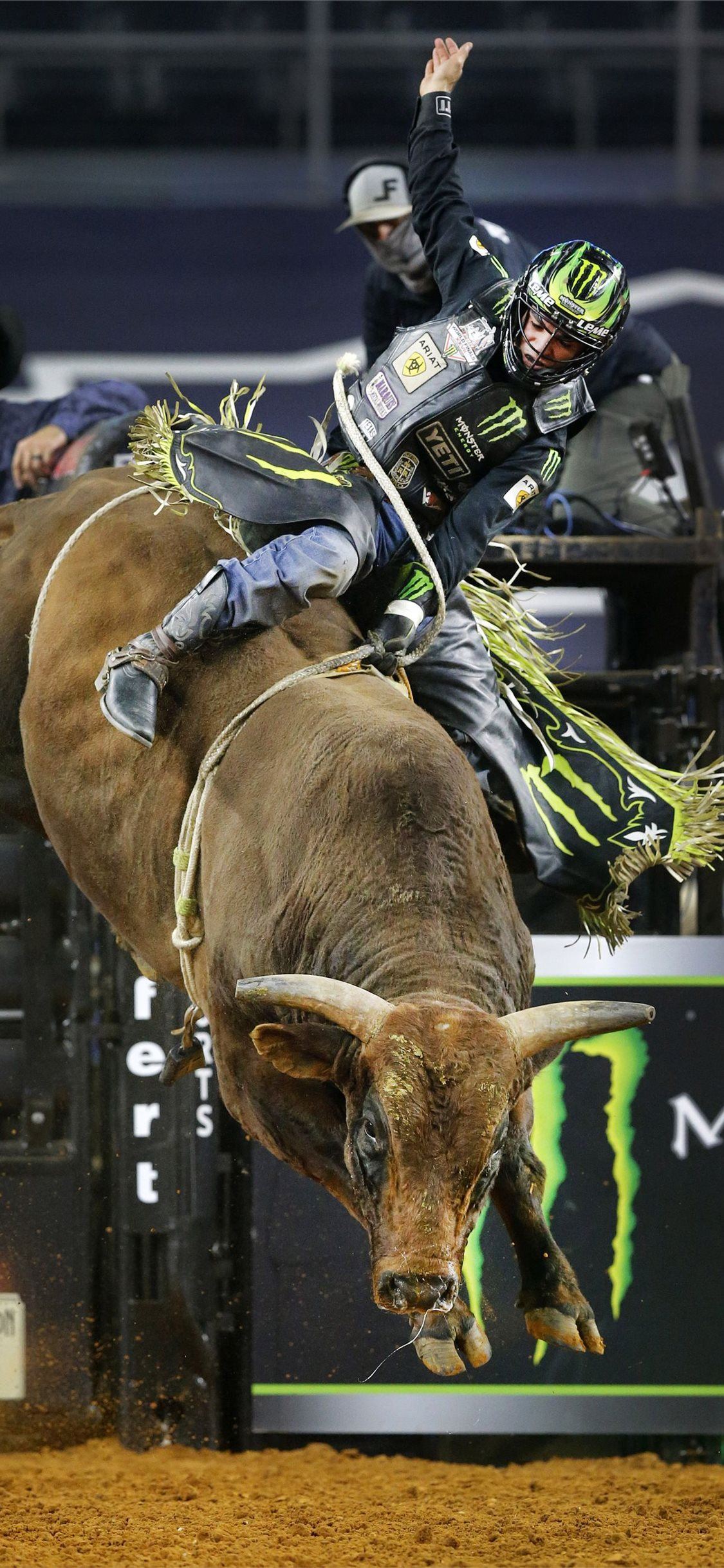 bull riding iPhone Wallpapers Free Download