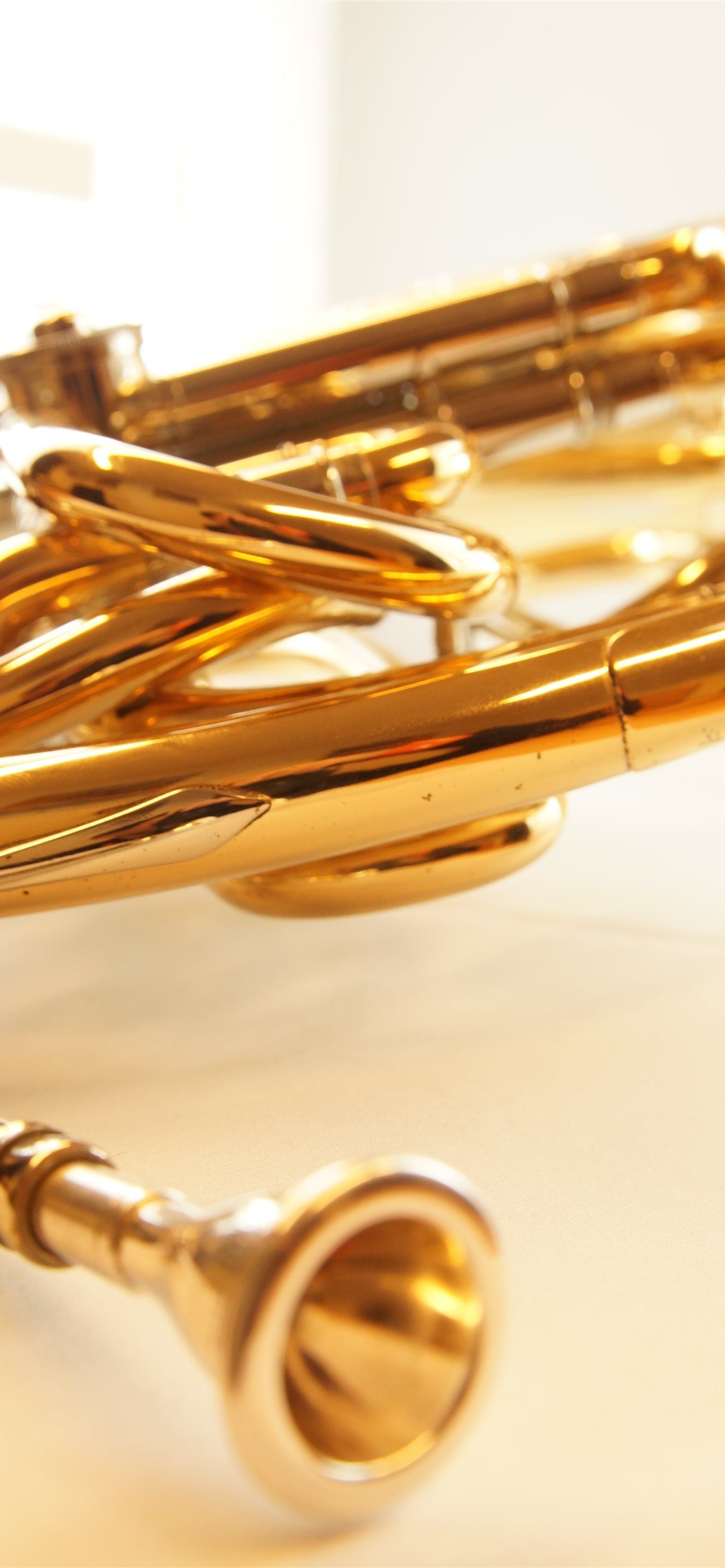 french horn iPhone Wallpapers Free Download