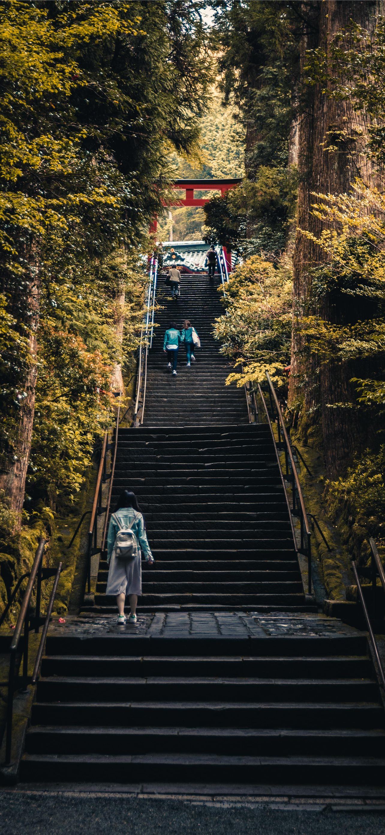 three person walking on stairs between green trees iPhone Wallpapers
