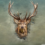 27 Wallpapers In Deer Wallpapers