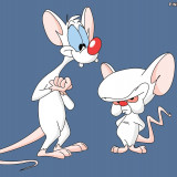8 Wallpapers In Pinky And The Brain Wallpapers