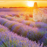 8 Wallpapers In Huawei P20 Lite Wallpapers