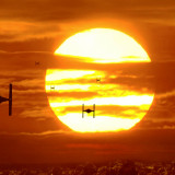 12 Wallpapers In Star Wars: TIE Fighter Wallpapers