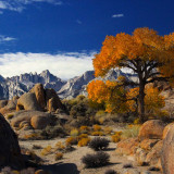 8 Wallpapers In Alabama State Wallpapers