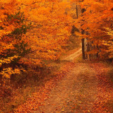 7 Wallpapers In Connecticut Wallpapers