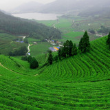 6 Wallpapers In Daehan Dawon Wallpapers