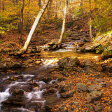 8 Wallpapers In Delaware Wallpapers