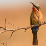 6 Wallpapers In ESwatini Wallpapers