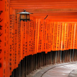10 Wallpapers In Fushimi Inari Taisha Wallpapers