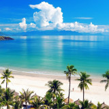 8 Wallpapers In Jamaica Wallpapers