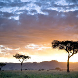 10 Wallpapers In Kenya Wallpapers