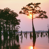 10 Wallpapers In Louisiana Wallpapers