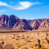 11 Wallpapers In Nevada Wallpapers