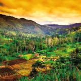 8 Wallpapers In Papua New Guinea Wallpapers