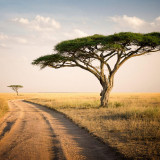 25 Wallpapers In Tanzania Wallpapers