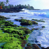 8 Wallpapers In Tonga Wallpapers