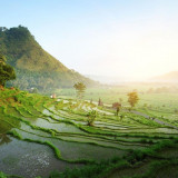 10 Wallpapers In Ubud Wallpapers