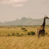 7 Wallpapers In Uganda Wallpapers