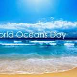 8 Wallpapers In World Oceans Day Wallpapers