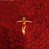 5 Wallpapers In American Beauty Wallpapers