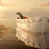 3 Wallpapers In Life Of Pi Wallpapers
