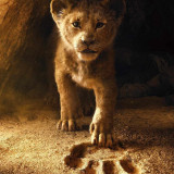 16 Wallpapers In Lion King 2019 Wallpapers