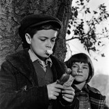 6 Wallpapers In To Kill A Mockingbird Wallpapers