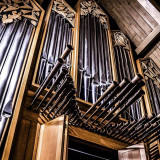 1 Wallpapers In Organ Wallpapers