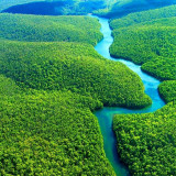 10 Wallpapers In Amazon River Wallpapers