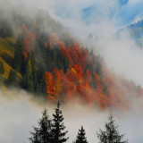 168 Wallpapers In Fog Wallpapers