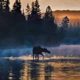 7 Wallpapers In Isle Royale National Park Wallpapers