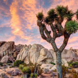 12 Wallpapers In Joshua Tree National Park Wallpapers