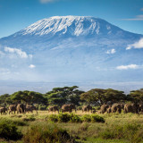 11 Wallpapers In Kilimanjaro Wallpapers