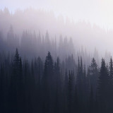 88 Wallpapers In Mist Wallpapers