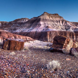 8 Wallpapers In Petrified Forest National Park Wallpapers