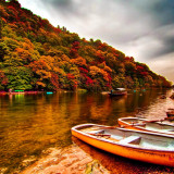 16 Wallpapers In Riverbank Wallpapers